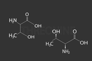 Fototapeta na wymiar Threonine molecular skeletal chemical formula.