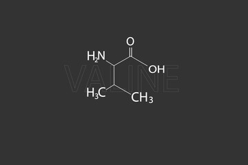 Valine molecular skeletal chemical formula.