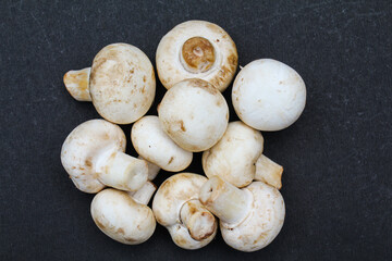 White mushrooms on black background close-up view 