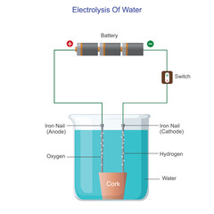  Simple experiment of electrolysis of water. Water decomposes at electrodes releasing hydrogen and oxygen gases. Science illustration. - obrazy, fototapety, plakaty