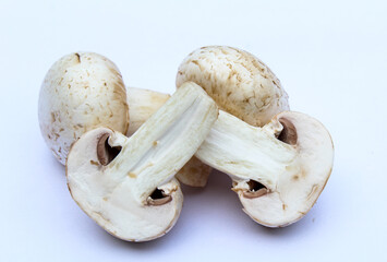 Fresh white mushrooms on white background 