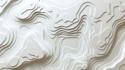 Fototapeta premium Flat Two-Color Website Background, White with Light Grey Topographic Map Style Lines