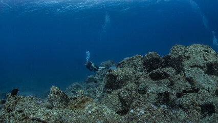 Fototapeta na wymiar Female diver over rocky reef against blue background in Mauritius