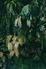 Close up group of background tropical green leaves texture and abstract background. Tropical leaf nature concept.