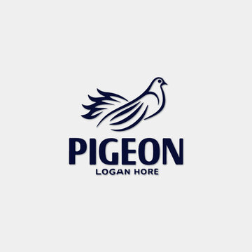 Bird logo design for any type of company