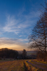 Obraz premium Natur in Marburg, Abendsonne am Feldrand