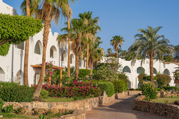Beautiful view of palm trees, white buildings and stone path at tropical beach resort town Sharm El...