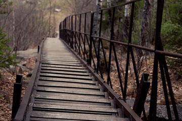 Obraz premium Scenic wooden bridge with metal railing, surrounded by lush greenery, in a serene forest setting