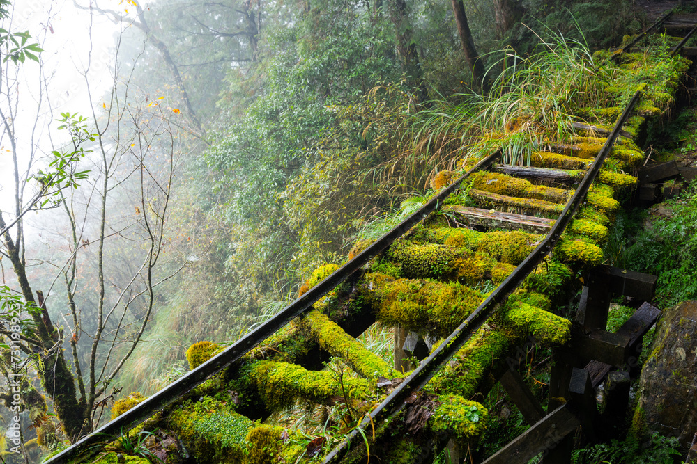 Wall mural hiking trail in taipingshan of yilan jianqing huaigu trail