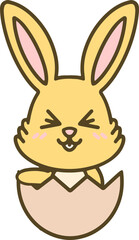 easter bunny in easter egg