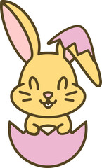 easter bunny in easter egg