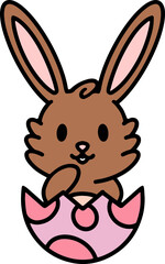 easter bunny in easter egg