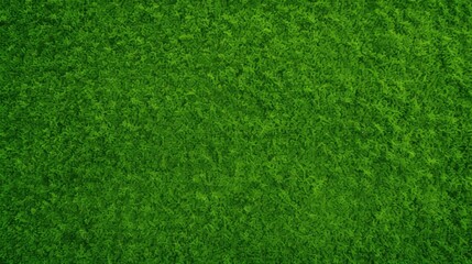 Vibrant Top-Down View of a Green Lawn, Perfect for Sports Fields and Golf Courses Backgrounds