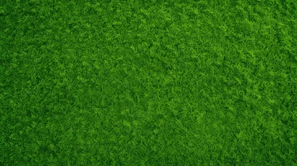 Photo sur Plexiglas Vert Vibrant Top-Down View of a Green Lawn, Perfect for Sports Fields and Golf Courses Backgrounds