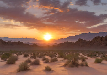 Beautiful desert sunrise view near