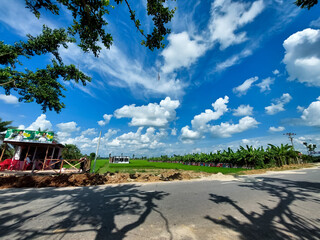White cloud in roadside in spring season