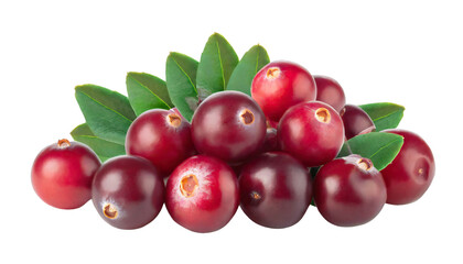 Obraz premium Pile of fresh cranberry fruits