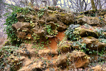 Obraz premium Limestone cliff covered in ivy with mixed woodland above in the Dordogne, France 