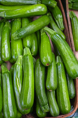 close up on fresh zucchini vegetable