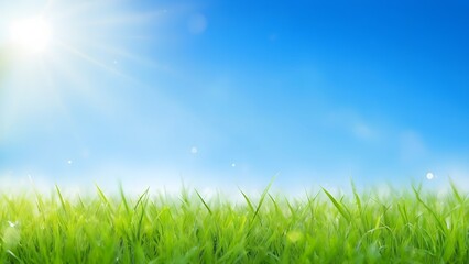 Fototapeta na wymiar Lush Green Grass Field Under a Clear Blue Sky on a Sunny Day