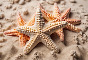 Fototapeta na wymiar Plastic starfish in sand pile isolated on white top view