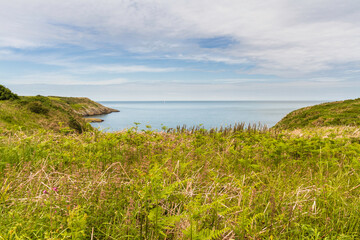 View to Irish Sea, Llaneilian, Anglesey, bay. - 731219309