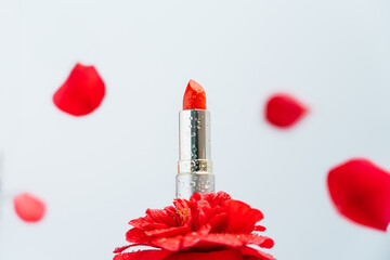 Red lipstick with water drops stands on camellia rose flower as on podium presenting demonstration...