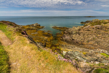 Coastal path on North Coast of Anglesey, Wales, craggy rocks. - 731219789