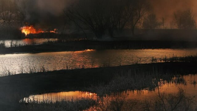 Wildfire of vegetation in the Vacaresti park nature reserve in Bucharest, Romania.