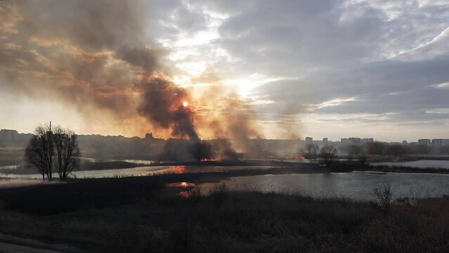 Wildfire of vegetation in the Vacaresti park nature reserve in Bucharest, Romania.