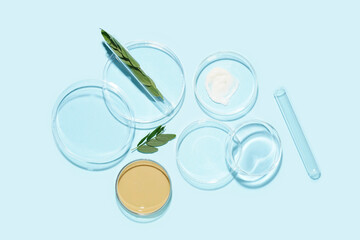 Petri dishes with sample, jar of cosmetic product and plant leaves on blue background