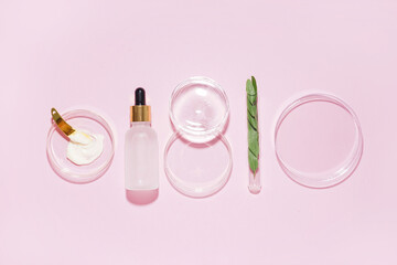 Petri dishes with sample, bottle of cosmetic product and plant leaves on pink background