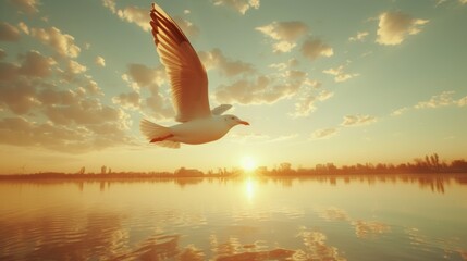 A bird flying over a body of water with the sun setting, AI