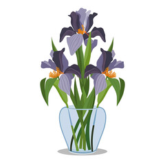 Vase with Regal Iris Flowers, PNG File of Isolated Cutout Object with Shadow on Transparent Background. 