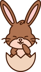 easter rabbit in eggshell