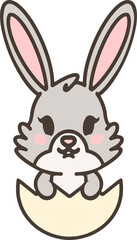 easter rabbit in eggshell