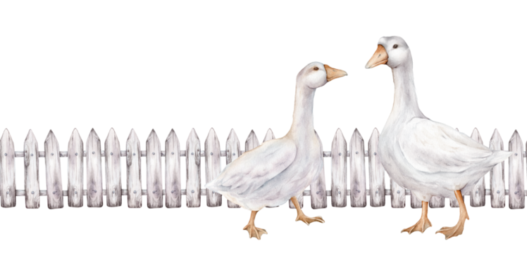 Seamless border fence made of white gray, boards with a wood texture. Domestic watercolor goose farm bird. Hand painted watercolor illustration, isolated on white background. Banner boards the top