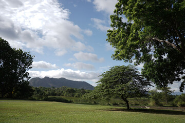 landscape with trees, a nice sky and mountains.