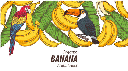 Ripe banana, parrot bird, toucan bird and banana leaves frame. Hand drawn sketch. Vector illustration. Tropical fruit. Packaging design, menu design, juice packaging. Banana frame.