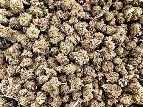 amas de fleurs de CBD