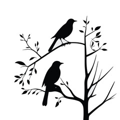 Bird silhouettes set silhouette of birds collection vector illustration