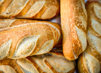 Panecillos (pan) listos para hacer bocadillos