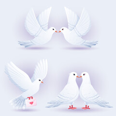 Set of beautiful white doves in love.Symbol of love