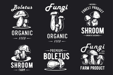 Mushroom boletus set of porcini, king bolete. Vegetarian fungus boletus for food. Nature fungi for healthy nutrition picking