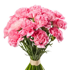 flower  Pink .tone. Carnation (Red): Deep love and admiration