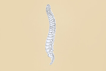 Paper spine on beige background