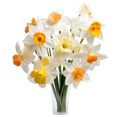 Fototapeta na wymiar floral. white and yellow tone. Daffodil: New beginnings and rebirth