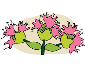 Pink oregano branch with two little leaves and pink flowers