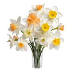 Fototapeta na wymiar flowersummer.white and yellow tone. Daffodil: New beginnings and rebirth