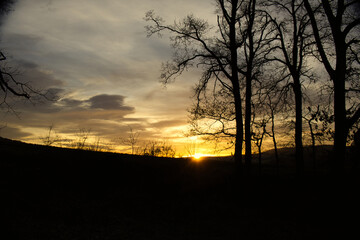 Fototapeta premium Silhouetten von Bäumen und einer Landschaft bei einem beindruckenden Sonnenuntergang